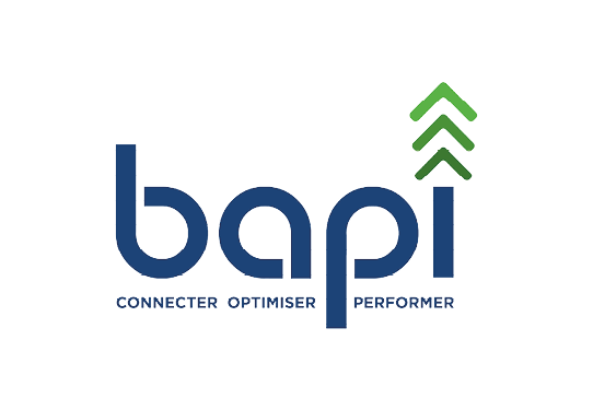 Logo BAPI Expert intégration GTB pour les professionnels